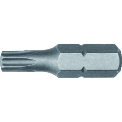 FORTIS - Bit für TORX®, DIN 3126 C6,3 T25 x 25mm, 10 Stück