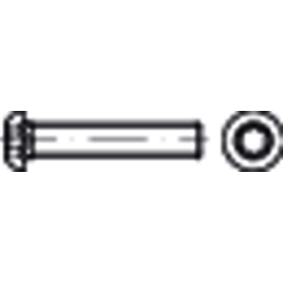 NOBRAND - Linsenschraube ISO 7380-1 TORX®-Profil Stahl 10.9 galvanisch verzinkt M5 x 8mm